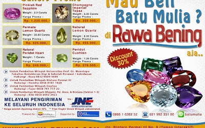 Keuntungan Akibat Sering Berbelanja Online