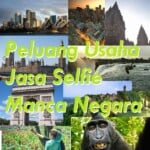 usaha jasa selie