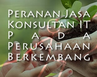 Pentingnya Peranan Jasa Konsultan IT untuk Perusahaan Berkembang