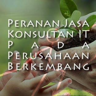 Jasa Konsultan IT untuk Perusahaan Berkembang