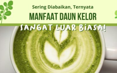 Daun Kelor Yang Biasa Diabaikan Ternyata Sangat Bermanfaat