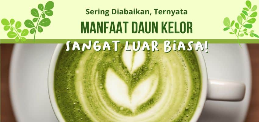 Inilah Manfaat Daun Kelor