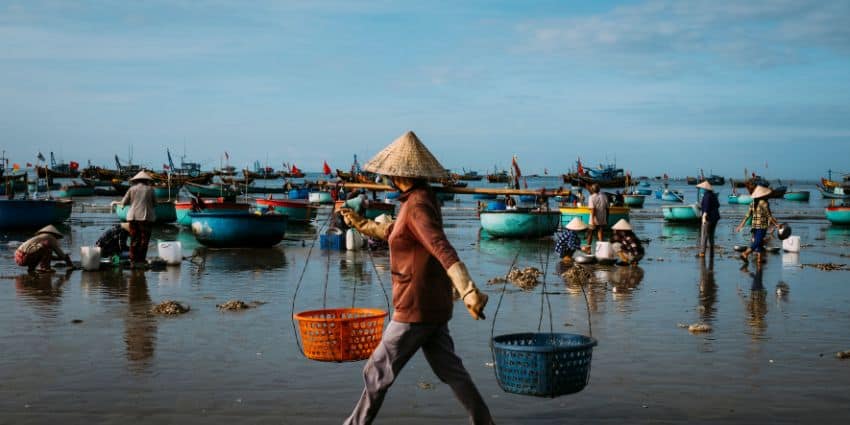 Penjualan produk merupakan salah satu Usaha yang cocok untuk pemula di pedesaan