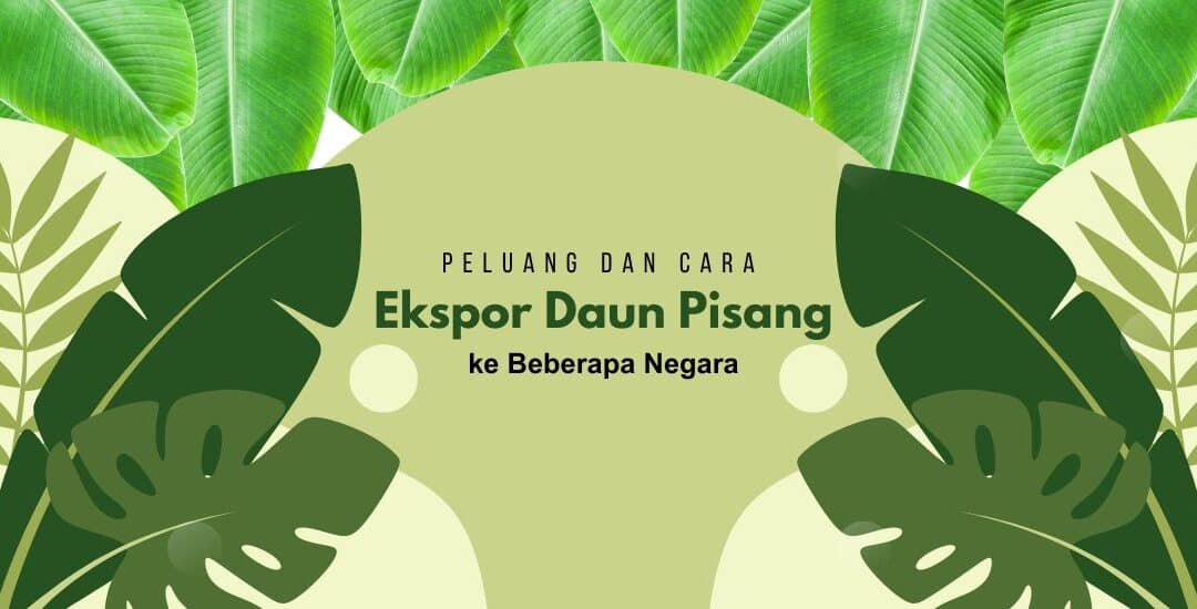 Peluang dan Cara Ekspor Daun Pisang ke Beberapa Negara