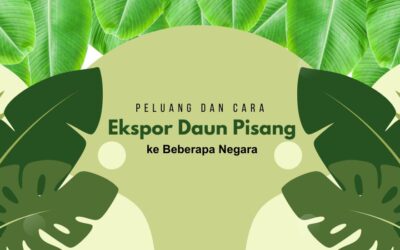 Peluang dan Cara Ekspor Daun Pisang ke Beberapa Negara