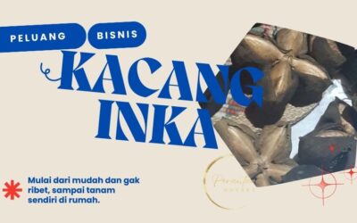 Bisnis Kacang Inka dari Rumah Bisa Jadi Ladang Cuan Baru