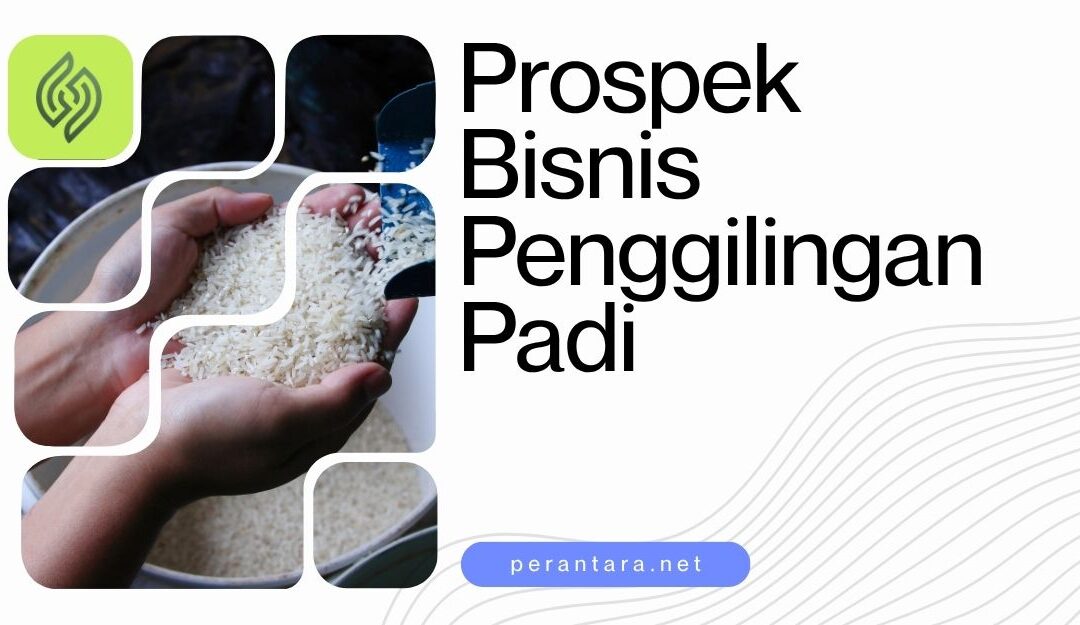 Penggilingan Padi Modern Lengkap dan Estimasi Modal