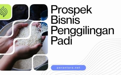 Penggilingan Padi Modern Lengkap dan Estimasi Modal