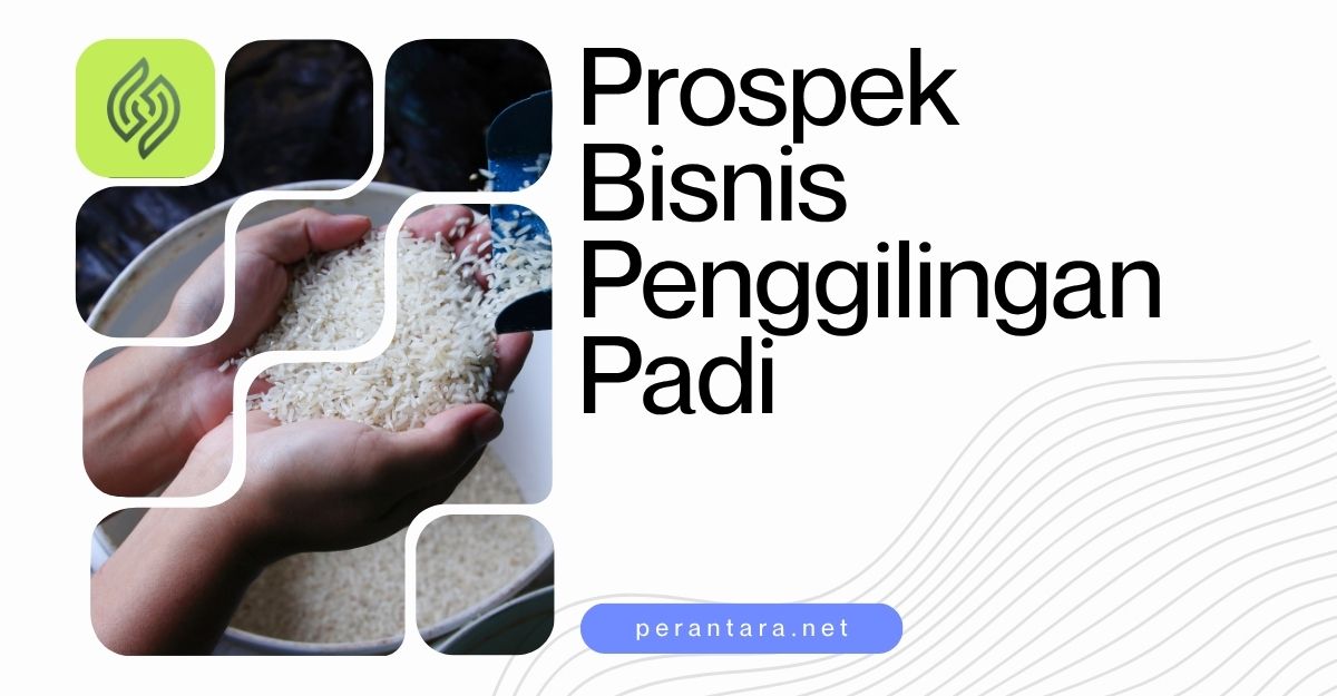 Harga Mesin Penggilingan Padi dan Prospek Bisnis Harga Mesin Penggilingan Padi dan Prospek Bisnis